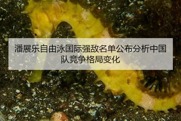 潘展乐自由泳国际强敌名单公布分析中国队竞争格局变化